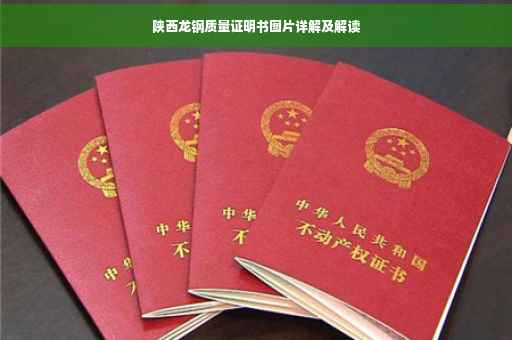 陕西龙钢质量证明书图片详解及解读