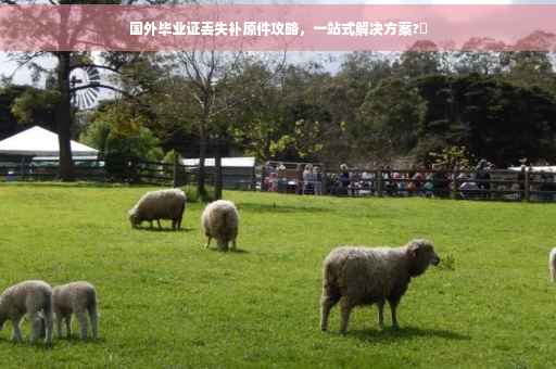 国外毕业证丢失补原件攻略，一站式解决方案?✨