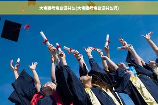 大专能考专业证书么(大专能考专业证书么吗)