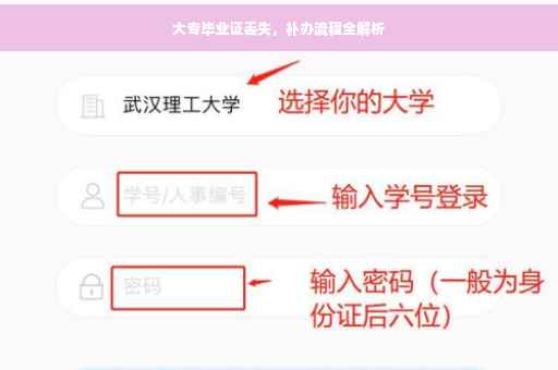 大专毕业证丢失，补办流程全解析