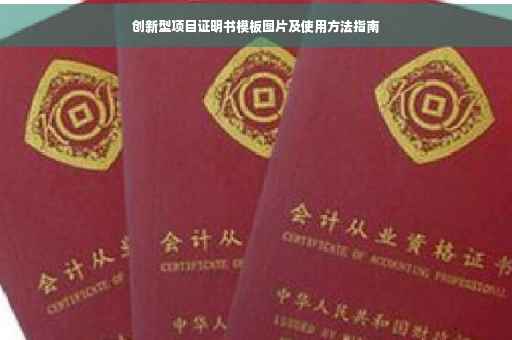 创新型项目证明书模板图片及使用方法指南