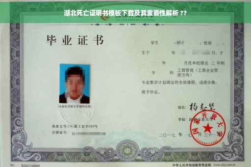 湖北死亡证明书模板下载及其重要性解析 ??