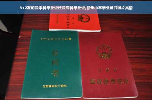 3+2发的是本科毕业证还是专科毕业证,赣州小学毕业证书图片高清