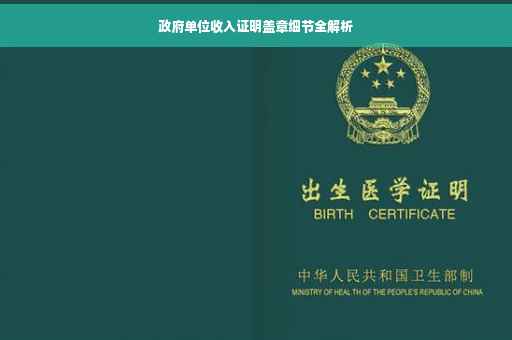 政府单位收入证明盖章细节全解析