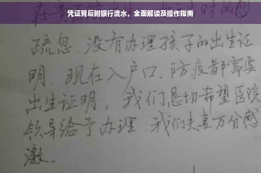 凭证背后附银行流水，全面解读及操作指南