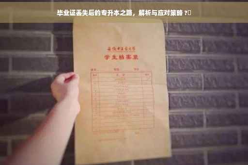 毕业证丢失后的专升本之路，解析与应对策略 ?✨
