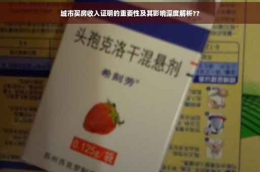 城市买房收入证明的重要性及其影响深度解析??