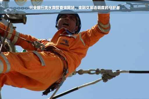 兴业银行流水真假查询网站，金融交易透明度的守护者