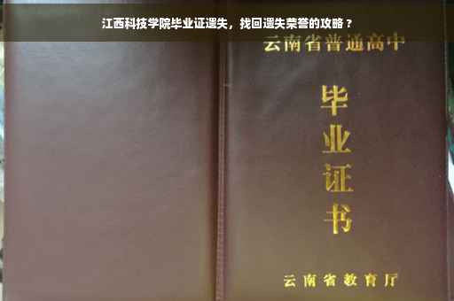 江西科技学院毕业证遗失，找回遗失荣誉的攻略 ?