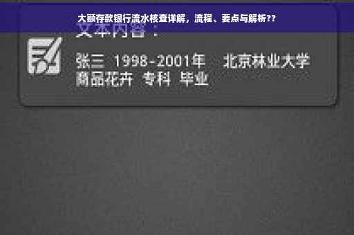 大额存款银行流水核查详解，流程、要点与解析??