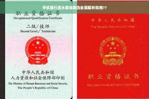 手机银行流水查询真伪全面解析指南??