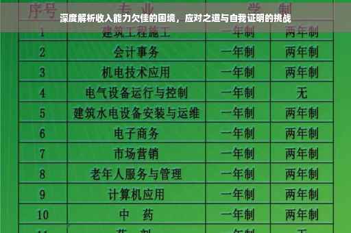 深度解析收入能力欠佳的困境，应对之道与自我证明的挑战