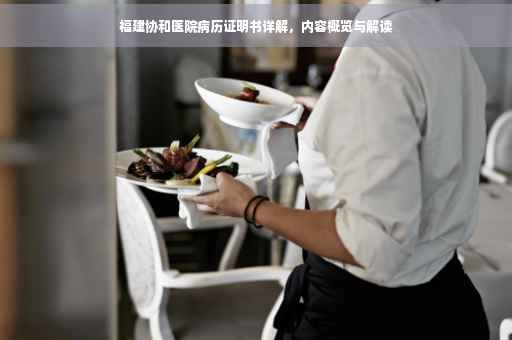福建协和医院病历证明书详解，内容概览与解读