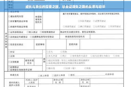 成长与责任的探索之旅，毕业证遗失之路的反思与启示