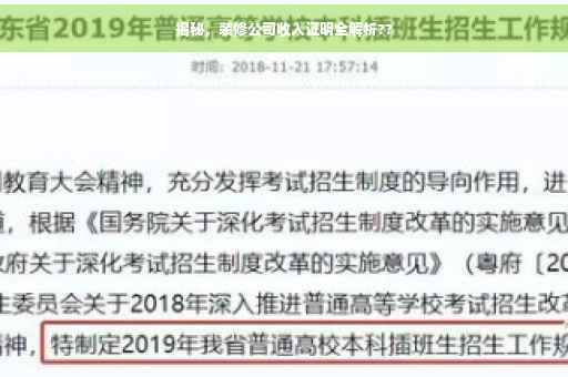 揭秘，装修公司收入证明全解析??