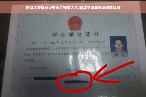 新华大专毕业证书图片样本大全,新华学院毕业证是本科吗