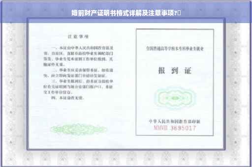 婚前财产证明书格式详解及注意事项?✨