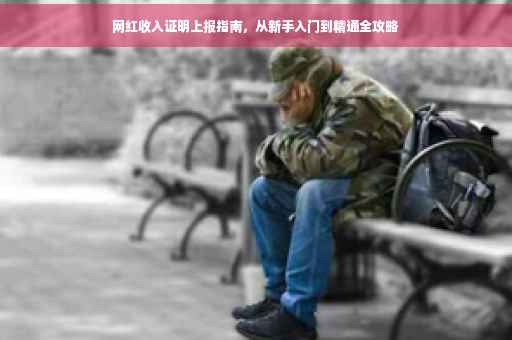 网红收入证明上报指南，从新手入门到精通全攻略
