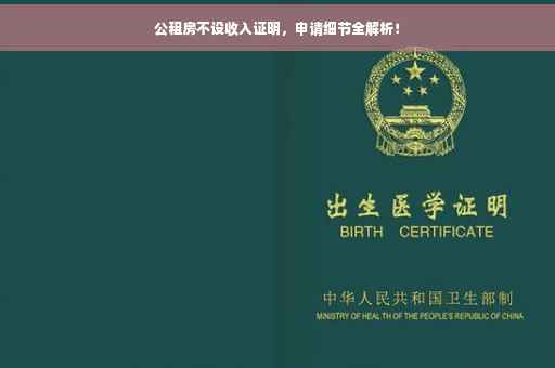 公租房不设收入证明，申请细节全解析！