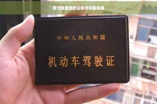 荷兰健康保险证明书详解指南