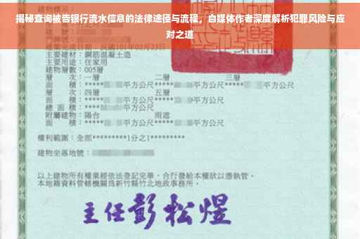 揭秘查询被告银行流水信息的法律途径与流程，自媒体作者深度解析犯罪风险与应对之道