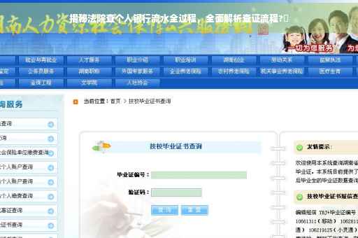 揭秘法院查个人银行流水全过程，全面解析查证流程?✨