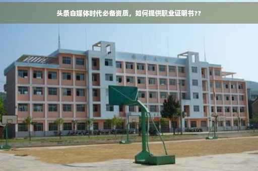 头条自媒体时代必备资质，如何提供职业证明书??