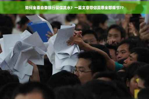 如何全面自查银行征信流水？一篇文章带你洞悉全部细节??