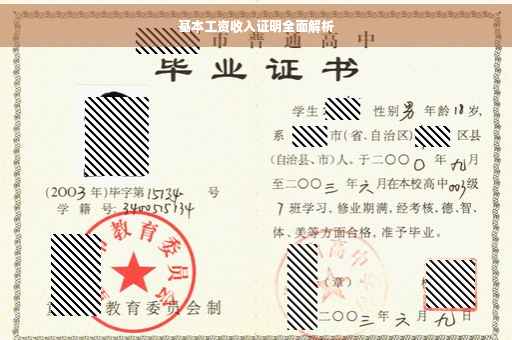 基本工资收入证明全面解析
