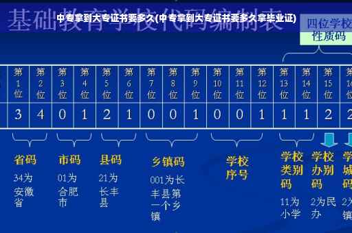 中专拿到大专证书要多久(中专拿到大专证书要多久拿毕业证)