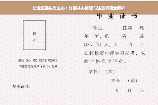 毕业证丢失怎么办？详细补办流程与注意事项全解析