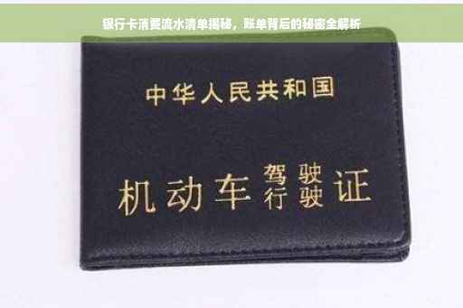 银行卡消费流水清单揭秘，账单背后的秘密全解析