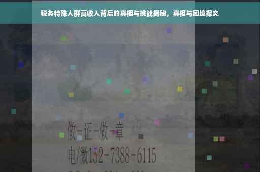 税务特殊人群高收入背后的真相与挑战揭秘，真相与困境探究