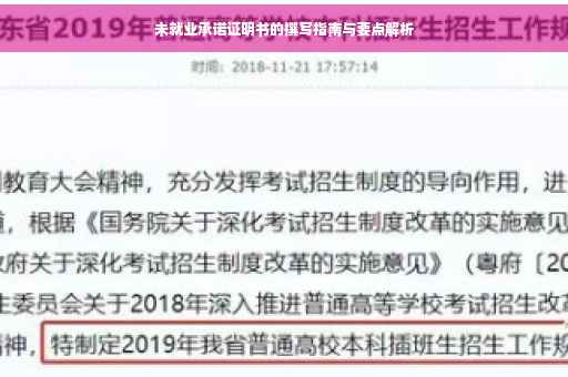 未就业承诺证明书的撰写指南与要点解析