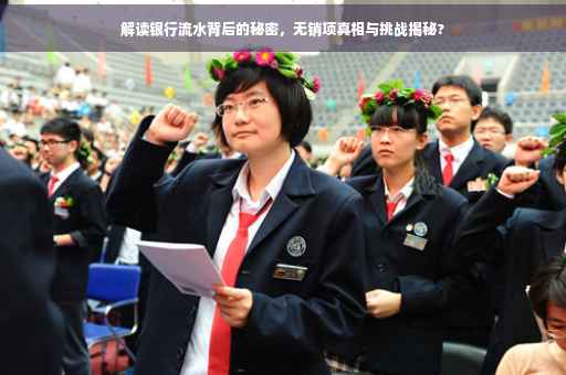 解读银行流水背后的秘密，无销项真相与挑战揭秘?