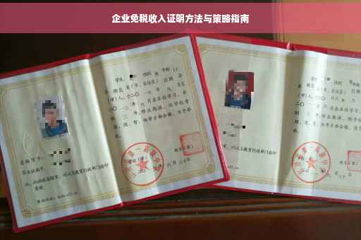 企业免税收入证明方法与策略指南