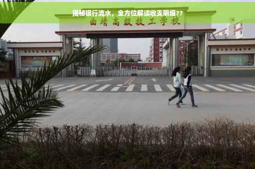 揭秘银行流水，全方位解读收支明细??