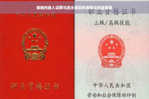 体制内收入证明与流水背后的真相与挑战揭秘