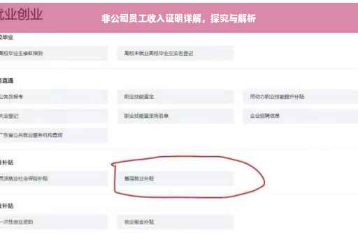 非公司员工收入证明详解，探究与解析