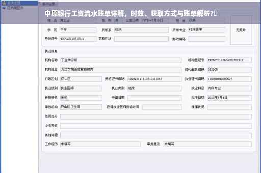 中原银行工资流水账单详解，时效、获取方式与账单解析?✨