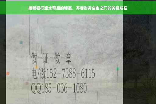 揭秘银行流水背后的秘密，开启财务自由之门的关键所在