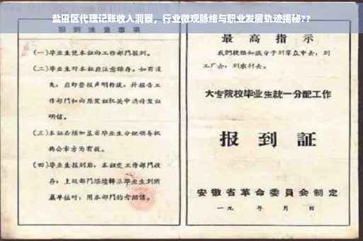 盐田区代理记账收入洞察，行业微观脉络与职业发展轨迹揭秘??