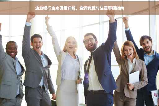 企业银行流水明细详解，查看流程与注意事项指南