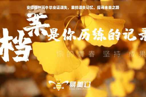 安徽宿州高中毕业证遗失，重拾遗失记忆，探寻未来之路