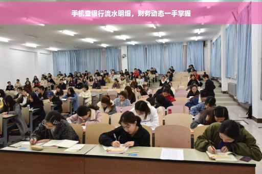 手机查银行流水明细，财务动态一手掌握