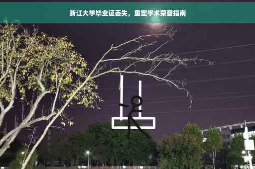 浙江大学毕业证丢失，重塑学术荣誉指南