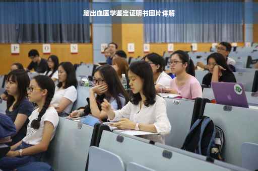 脑出血医学鉴定证明书图片详解