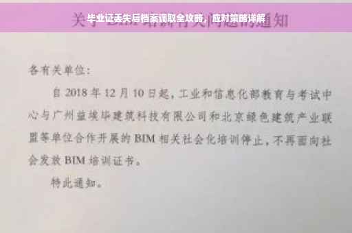 毕业证丢失后档案调取全攻略，应对策略详解