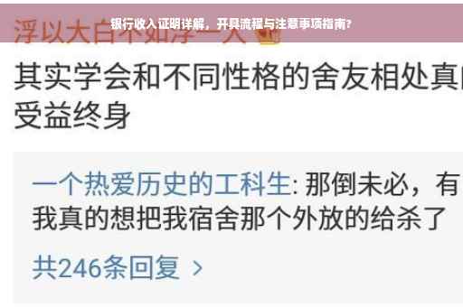 银行收入证明详解，开具流程与注意事项指南?