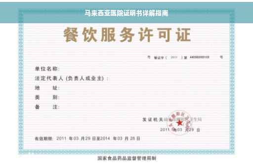 马来西亚医院证明书详解指南